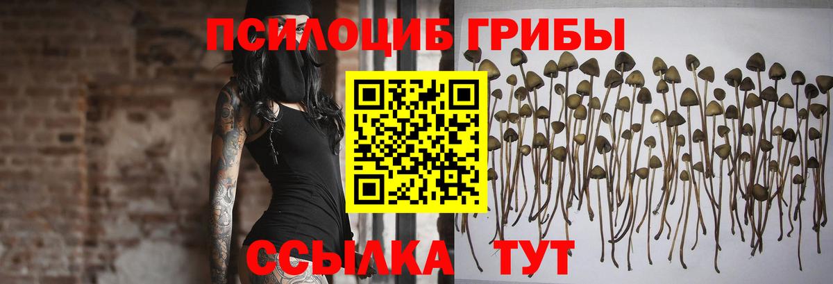 Кызыл  Псилоцибиновые грибы GOLDEN TEACHER  Вход с VPN 