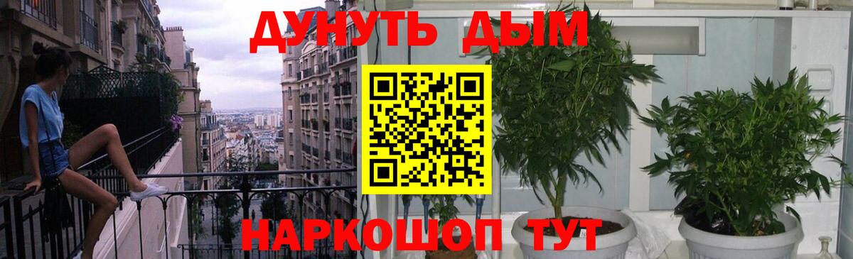 Каннабис план Кызыл